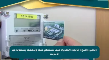 «توفير واضح» فاتورة الكهرباء كيف تستعلم عنها وتدفعها بسهولة عبر الإنترنت